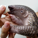 Image: AP